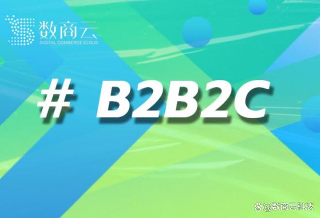 b2b2c商城方案在电商行业的创新应用与实践案例分析｜数商云